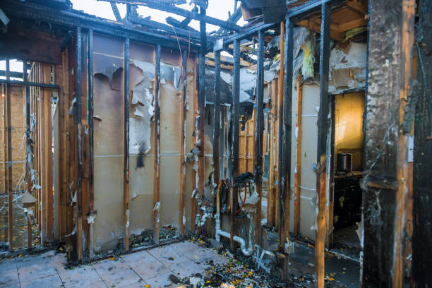 Professional Smoke Damage Removal technician working in Wynnewood, PA
